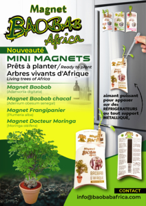 Kit magnétique mini baobab prêt à planter (poudre de baobab, feuilles de baobab, huile de baobab, pulpe de baobab) - Product Image 6