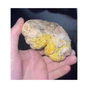 Cápsulas de Extracto Animal de Ámbar Gris Blanco de Alta Calidad para Uso Cosmético, Empaque a Granel, Compradores Mayoristas a Bajo Costo - Product Image 6