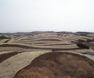 Renforcement mural Fibre de jute Protection du sol Rouleaux de tapis de route Coir Contrôle de l'érosion Couvertures - Product Image 2