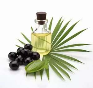 High Purity Nourishing Saw Palmetto Hair Oil For Daily Use Pure Saw Palmetto Oil By Supplier At Reasonable Price - Product Image 3