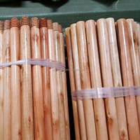 Manche de balai en bois peint de haute qualité avec poils doux, design portable, écologique et durable