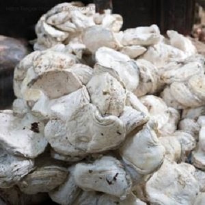 Venta al por mayor de trozos de caucho natural - Product Image 1