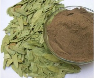Extracto de Hojas de Senna en Polvo de Alta Potencia, 20% Sennosides, por Estándar UV, Extracto Herbal de Cassia Angustifolia - Product Image 2