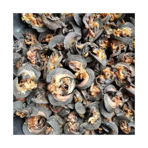Escargots africains congelés, nettoyés, source de protéines congelées pour les restaurants et la restauration - Product Image 6