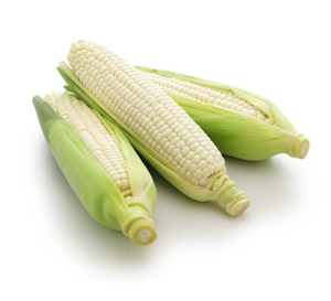 Maíz blanco orgánico sin OGM Maíz seco para alimentación humana y animal Cultivo de maíz blanco - Product Image 1