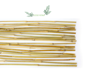 Bâton de bambou Flexible pour plantes/bâtons de bambou, pour le jardin à fleurs, de haute qualité, fabriqué au Vietnam, écologique, pièces - Product Image 3