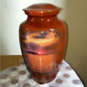 Nueva urna de cremación de Metal con diseño impreso de colibrí, urna funeraria de cremación para adultos con estampado blanco brillante para un ser querido - Product Image 6