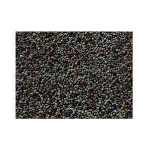 ผู้จัดจำหน่ายเมล็ดป๊อปปี้ธรรมชาติสำหรับวัตถุดิบอาหารแบบขายส่ง - Product Image 2