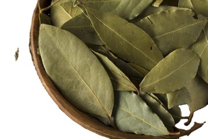 BUEN PRODUCTO HOJAS DE GRAVIOLA SECAS/HOJAS DE SOURSOP, MEJOR PRECIO - Product Image 2