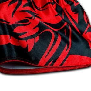 กางเกงขาสั้นกีฬาสไตล์เรโทรแบบยูนิเซ็กซ์ ปี 2026 สำหรับวัยรุ่น ฝึกซ้อมคิกบ็อกซิ่ง MMA มวยไทย สำหรับผู้ชาย ชุดศิลปะการต่อสู้ - Product Image 5