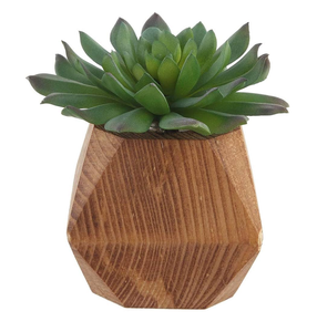 Vase à fleurs en bois moderne, best-seller, écologique, fait à la main, plusieurs couleurs, pour la décoration de la maison et du jardin, balcon - Product Image 5