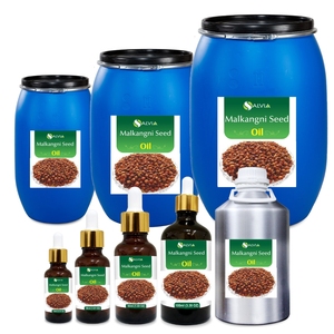 Huile de graines Malkangani 100% pur et naturel en gros en vrac prix le plus bas emballage personnalisé - Product Image 1