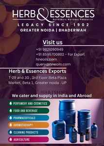 Herb Essences Exports 100% Pure Premium Grade Cedarwood Aceite esencial para aromaterapia Cuidado del cabello Masaje de Bienestar-Multiusos - Product Image 5