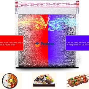 Eco Friendly Leopard Pattern PE Waterproof Insulated Thermal Bag Foldable <b>Hot</b> Cold Food Storage for Catering Takeout - Product Image 5