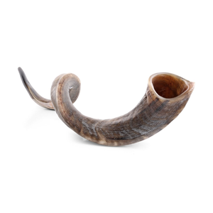Corne de bélier authentique faite à la main Shofar-Style animal sculpté technique matériau organique-fournisseurs et fabricants de l'Inde - Product Image 3