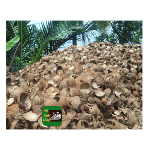 FÁBRICA DE VIETNAM SUMINISTRO DE CÁSCARAS DE COCO MATERIA PRIMA PARA ARTESANÍA DECORATIVA Y PRODUCCIÓN DE CARBÓN - Product Image 3