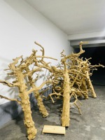 L'usine fournit directement naturel fort caféier bois Java bois chien mâcher bâton à mâcher racine chien mâcher Lotus bleu