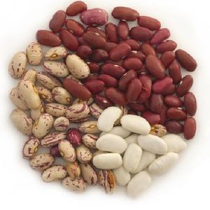 Frijoles negros al por mayor/Frijoles negros secos orgánicos más vendidos a los mejores precios del mercado - Product Image 6