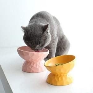 Beautiful Hand Painted <b>Ceramic</b> Pet <b>Bowl</b> For Cats With Traditional Craftsmanship Offering Authentic And Unique Decorative Appeal - Product Image 3