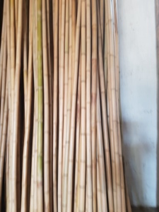 Fábrica de Vietnam que Suministra Postes de Bambú Natural para Agricultura, Jardinería y Proyectos de Construcción - Product Image 5