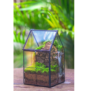 Top vente décoration de la maison en laiton Mini verre géométrique Terrarium Vase verre clair noir fini pour la décoration de table et la décoration de la maison - Product Image 2