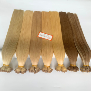 <b>Russian</b> Remy Vietnamese Hair Extensions Double Drawn Tape in Factory Wholesale Price - Product Image 2