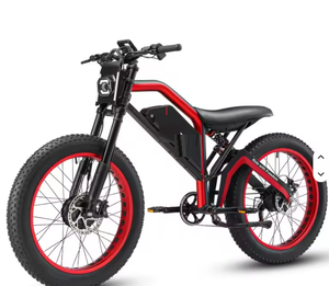 Bicicleta Eléctrica de Montaña MEE-D XT600 D L Recién Equipada con Motor Dual de 1200 W y Batería de Repuesto - Product Image 1