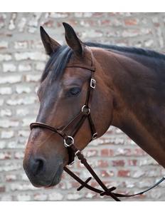 Banda para la nariz rígida con brida Bitless, que protege la boca del caballo. - Product Image 2