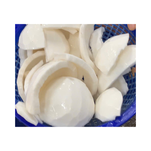 Carne de coco congelada de alta calidad sin conservantes, sabor original, larga vida útil, ideal para exportación, venta al por menor, batidos, helados - Product Image 2