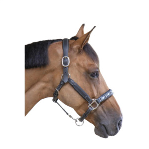 Licou de cheval en cuir élégant avec accents perlés et boucles réglables en acier inoxydable - Product Image 1