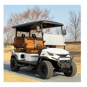 Carrito de golf de venta rápida para 2, 4 o 6 personas con diseño moderno - Product Image 1