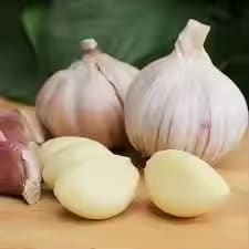 Ail personnalisé de qualité supérieure pour la cuisine du fabricant indien au meilleur prix Ail - Product Image 2