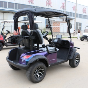 Voiturette de golf électrique tout-terrain 2 places 48V 5KW neuve et à prix réduit en vente - Product Image 3