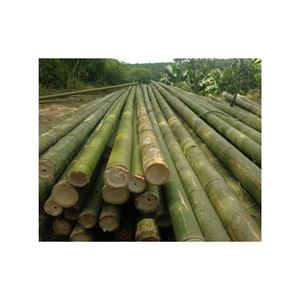 Poteaux de bambou écologiques vietnamiens-Matériaux de construction Poteau de bambou droit solide et naturel de haute qualité - Product Image 2