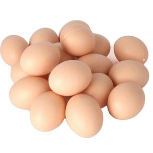 ไข่ฟักไก่เนื้อคอบบ์ 500 และ 700  ไข่สด  ไข่ไก่ฟักได้  ไข่ไก่แดง  ร็อส 308  แบบไข่แดง - Product Image 3