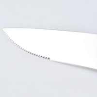 Ensemble de couteaux de coupe de viande de boeuf à steak en acier inoxydable forgé de qualité supérieure couteau de chef manche en plastique écologique caractéristiques tranchantes