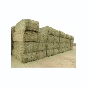 Alfalfa Hay For Animal Feed Lucerne Straw Rhodes Grass Animal Feed