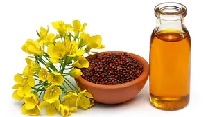 Wholesale Bulk Madhuca Indica <b>Oil</b> Standard Quality Cold Pressed Mahua <b>Oil</b> Pure and Natural Hair and Skin <b>Oil</b> From India - Product Image 5