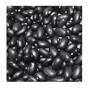 wholesale large number High Quality Organic Black <b>Kidney</b> <b>Beans</b> - Product Image 2