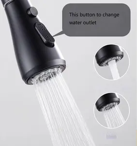 Purificador de filtro de agua de rotación 360 de cocina Flexible, dos salidas de agua, grifos de salida, rociador telescópico extraíble para Cocina