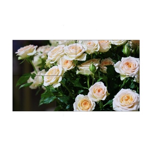 Écran LCD <span class=keywords><strong>TCL</strong></span> à épissure ultra-fine 1,7 mm 500 cd/m² pour mur vidéo, animation, signalétique en magasin, éducation - Product Image 1