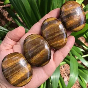 Tiger Eye Edelsteen Palmstone Gift India Vaas Liefde Agaat | Tiger Eye Crystal Palm Steen