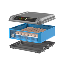 Incubateur automatique pour 192 œufs, poulet, canard, oie, pigeon, caille, volaille, machine d'incubation à vendre en Tanzanie