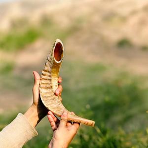 Corne de Choréphore en Mouton Naturel Poli - Décoration Religieuse Écologique de Haute Qualité pour la Maison - Product Image 5