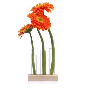 Florero de Metal Negro para Tubos de Ensayo, Florero Hidropónico de Vidrio con Decoración de Flores Secas - Product Image 2