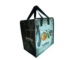 Aangepaste Eco-Vriendelijke Pp Geweven Handtassen Herbruikbare Pp Niet-Geweven Boodschappentas Met Rits Tas Houden Warm Col