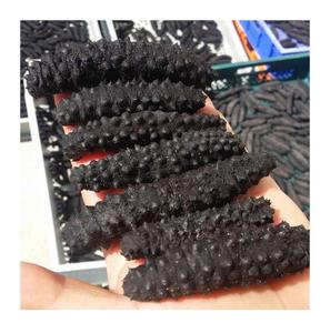 Pepinos de Mar Secos de Primera Calidad, Blancos, con 2 Años de Vida Útil, Disponibles en Grandes Cantidades con Empaque Personalizado, al Mejor Precio - Product Image 4