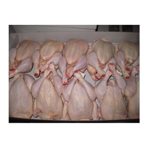 Poulets entiers congelés halal en vrac à vendre