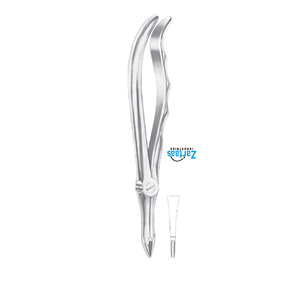 คีมดึงรากด้านบนทำจากสเตนเลสสตีลผู้ส่งออกและผู้ผลิต41ราย - Product Image 2