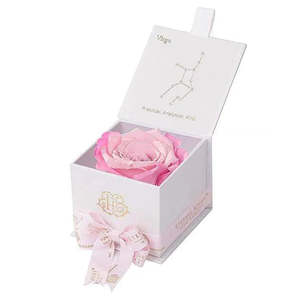 Astor Collection's Eternal Rose VIRGO <b>Gift</b> <b>Box</b> for Valentine's Day - Product Image 4